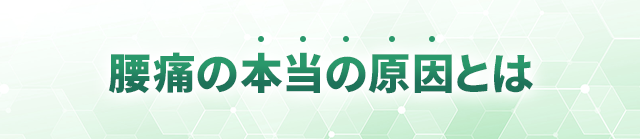腰痛の本当の原因とは